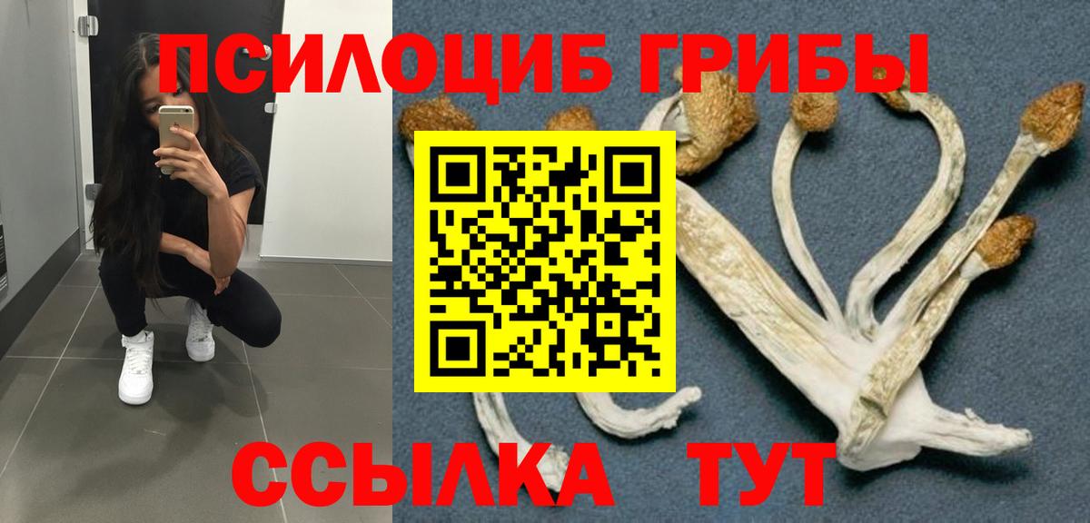 Галлюциногенные грибы Cubensis Салават
