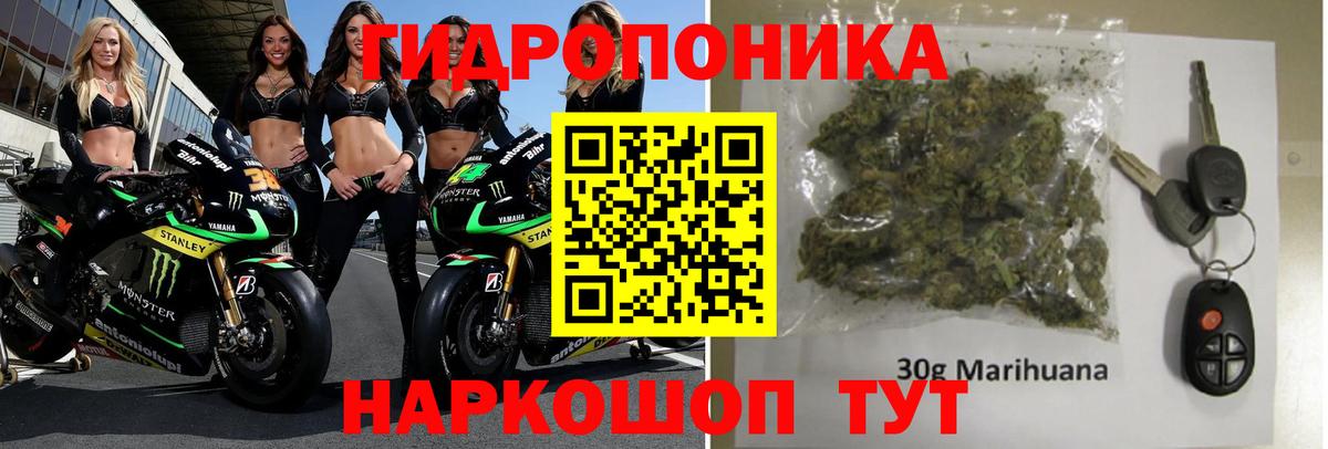 Салават  Бошки марихуана сатива  Вход с VPN  Бошки Шишки SATIVA & INDICA 